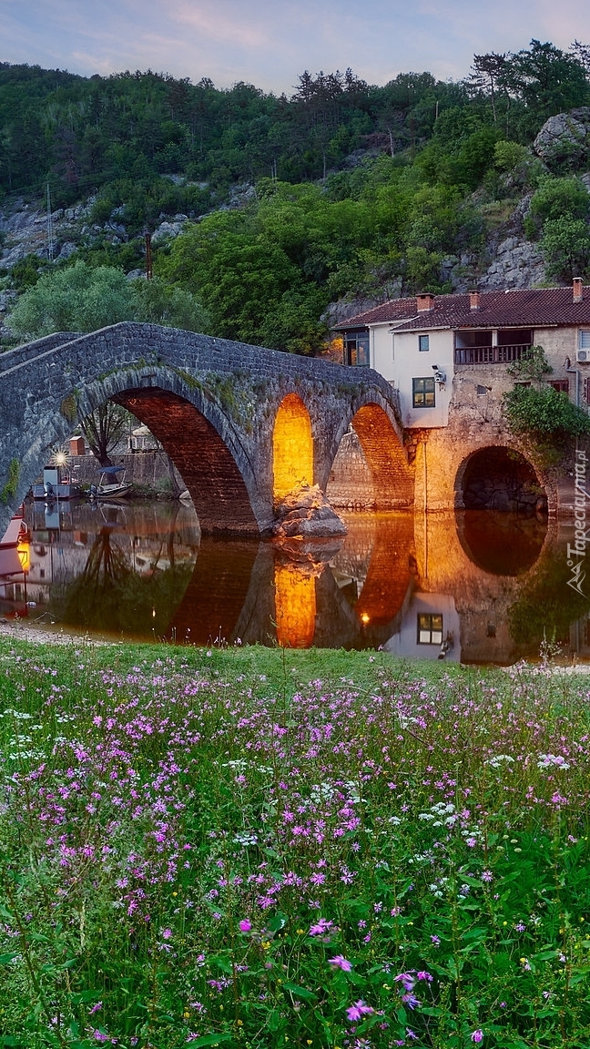 Most nad rzeką Crnojevica