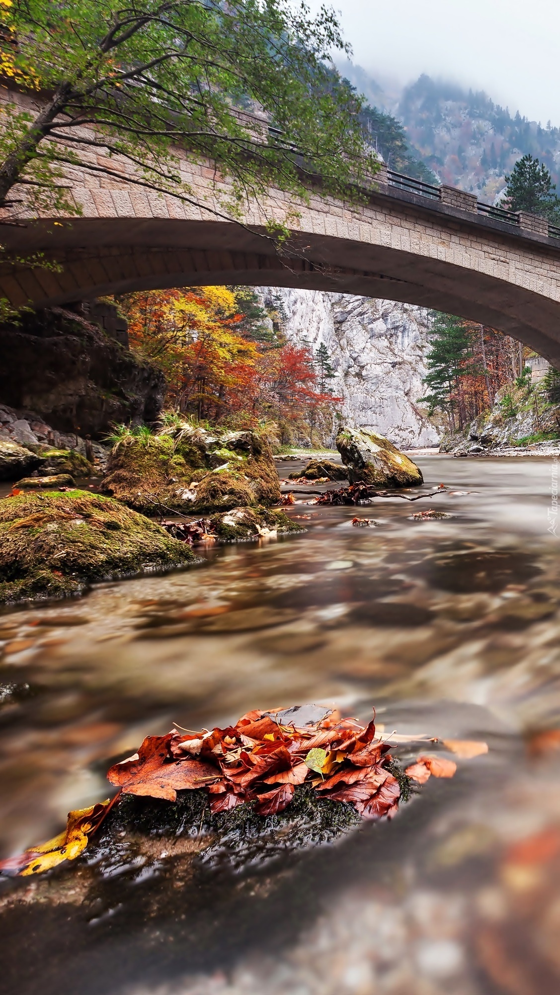 Most nad rzeką jesienną porą