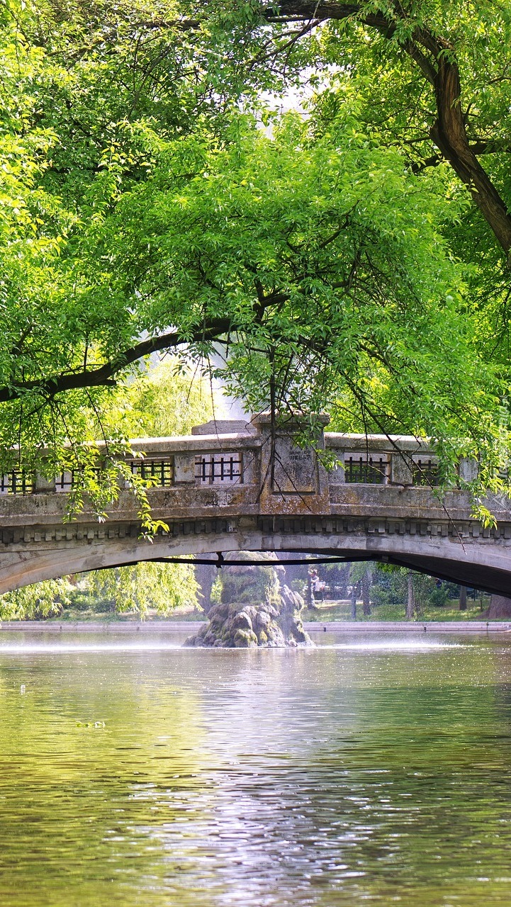 Most nad stawem w parku