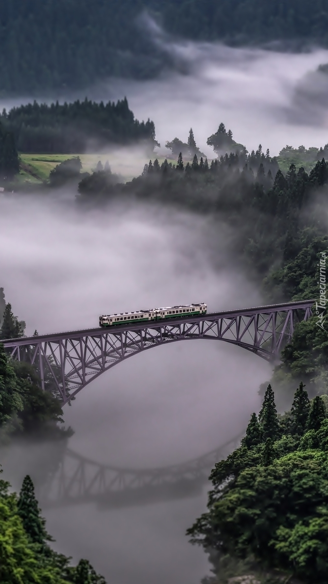 Most Tadami River Bridge nad rzeką Tadami we mgle