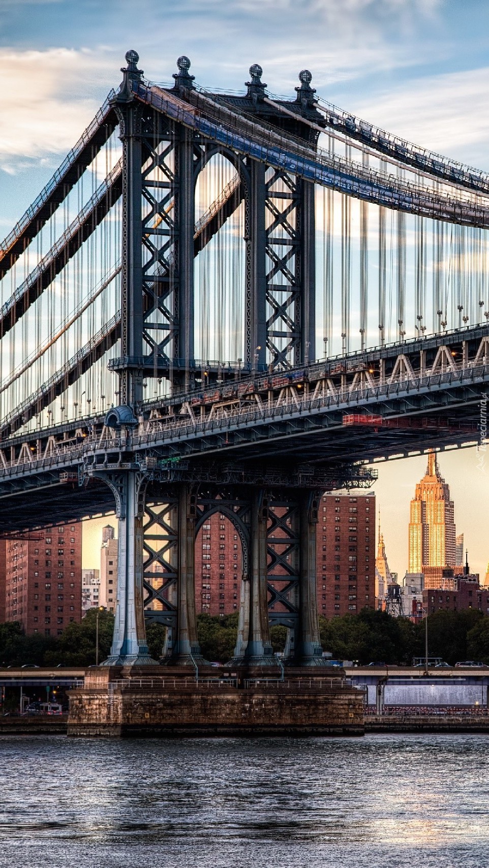 Most w New York City