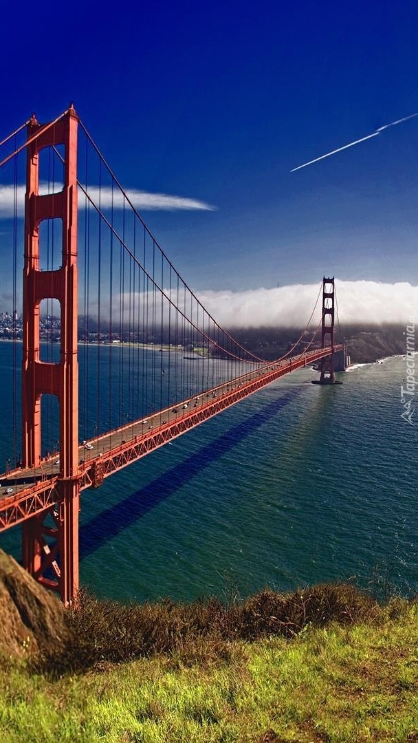 Most w San Francisco