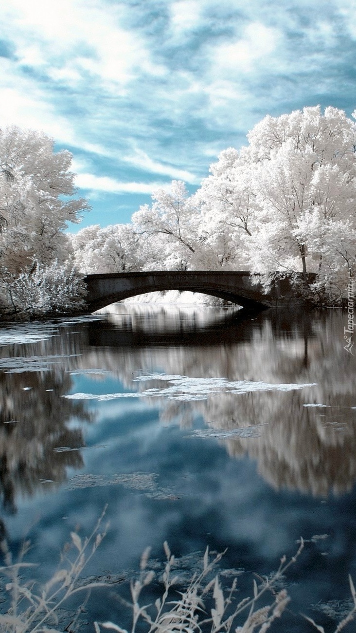 Most zimową porą