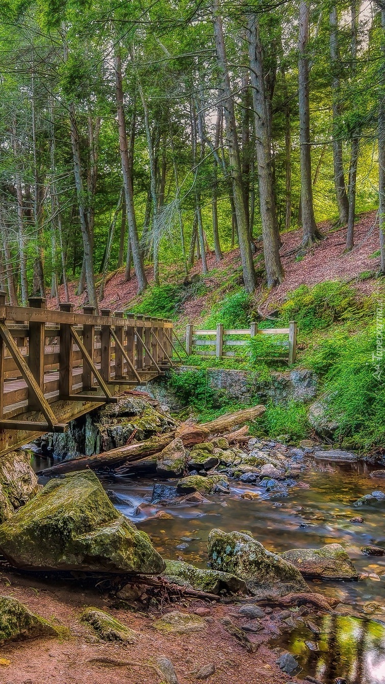 Mostek nad kamienistą rzeką