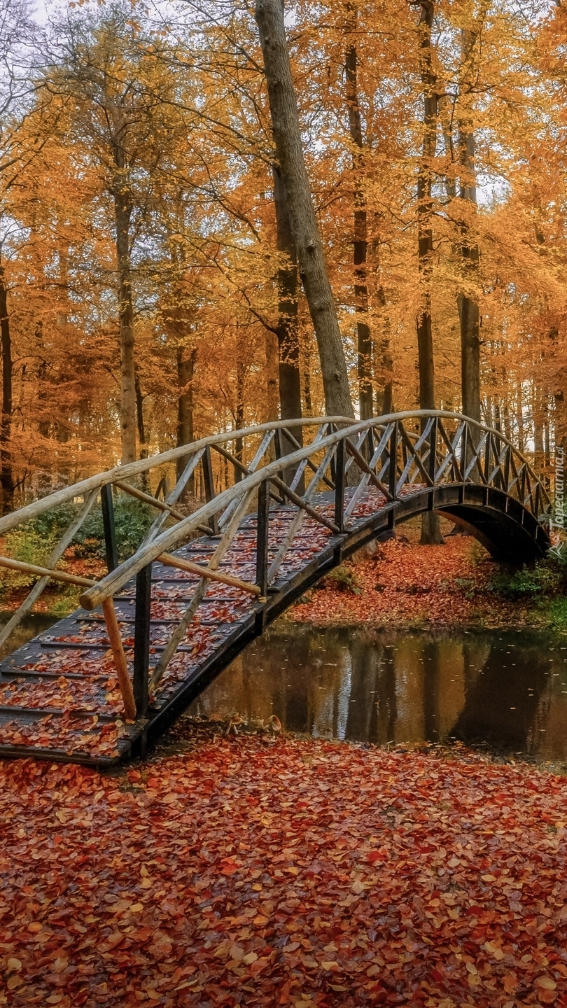 Mostek nad rzeczką w parku