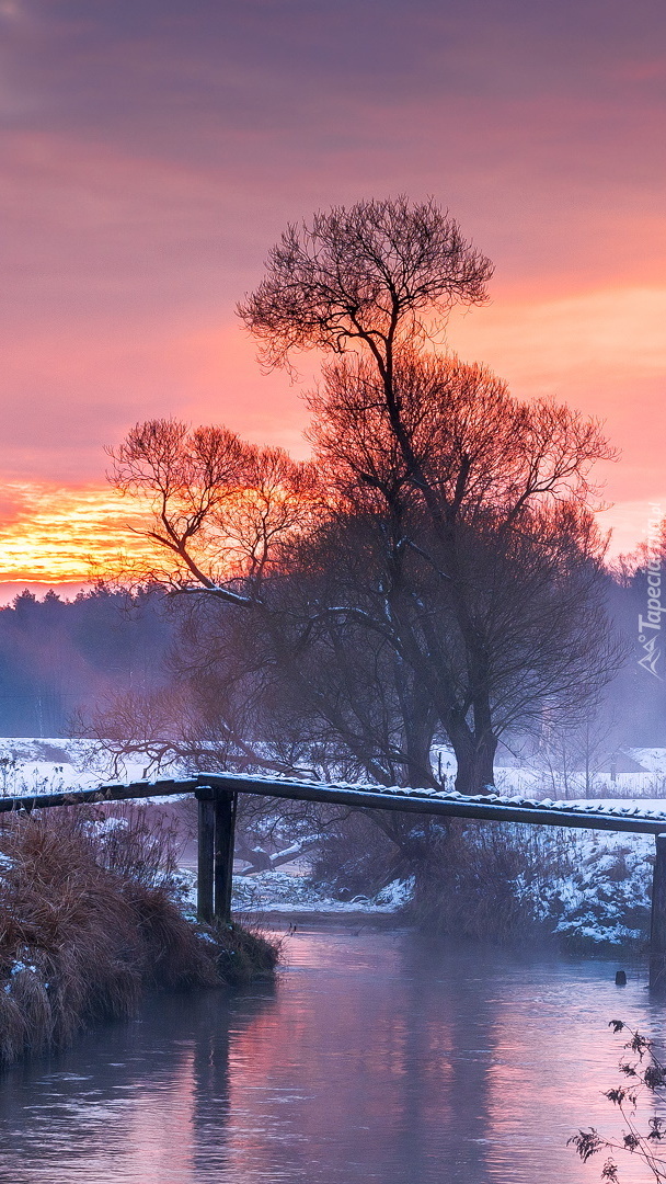 Mostek nad rzeką o poranku