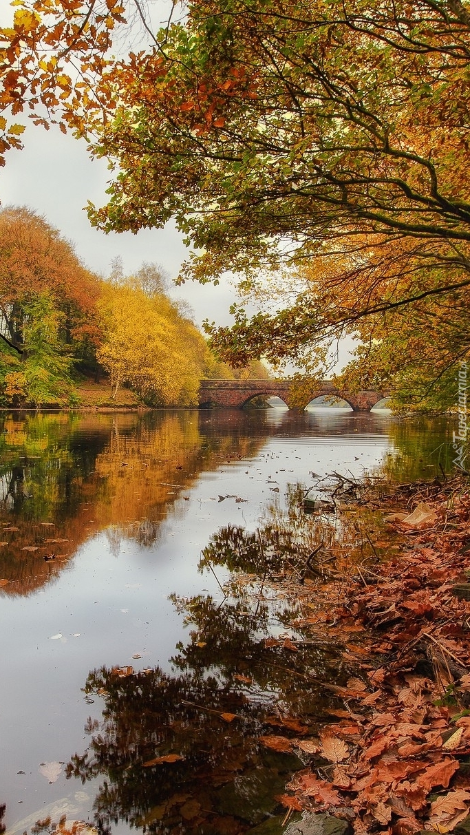 Mostek nad rzeką