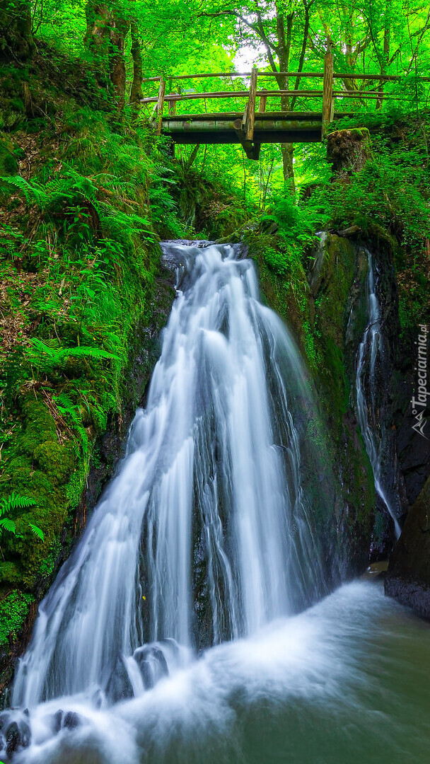 Mostek nad wodospadem Rausch waterfall