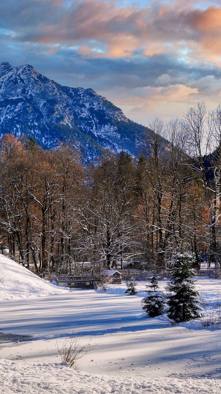 Mostek nad zaśnieżonym stawem