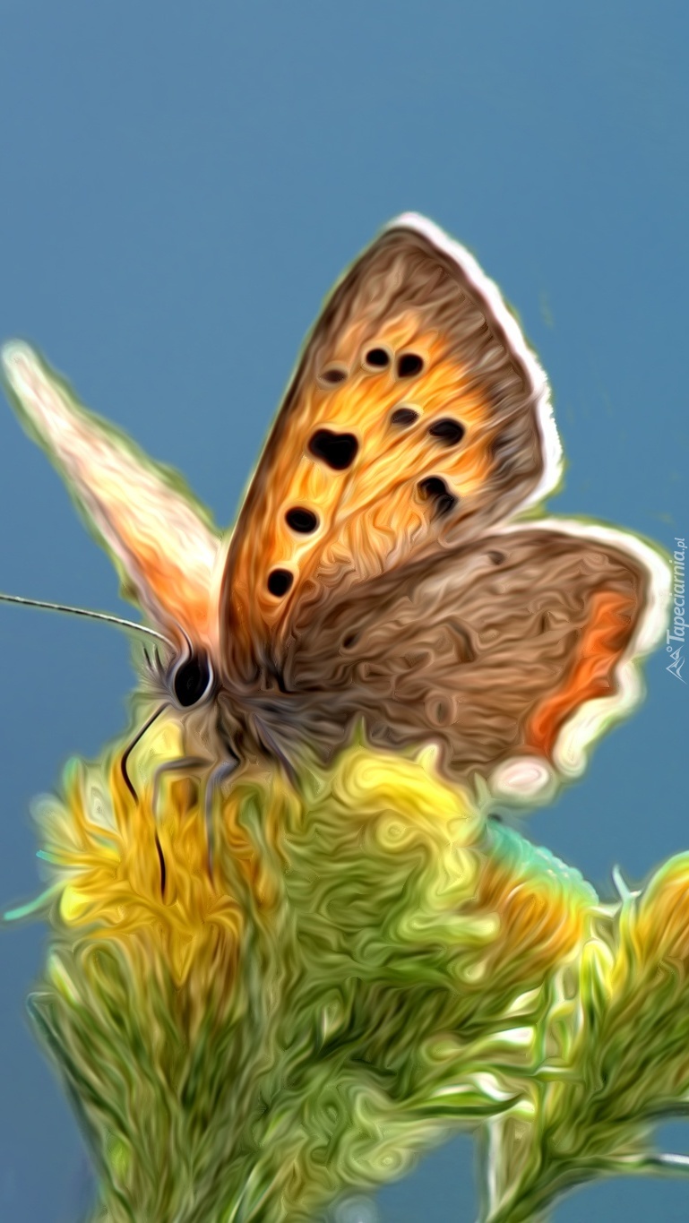 Motyl na kwiatach w grafice