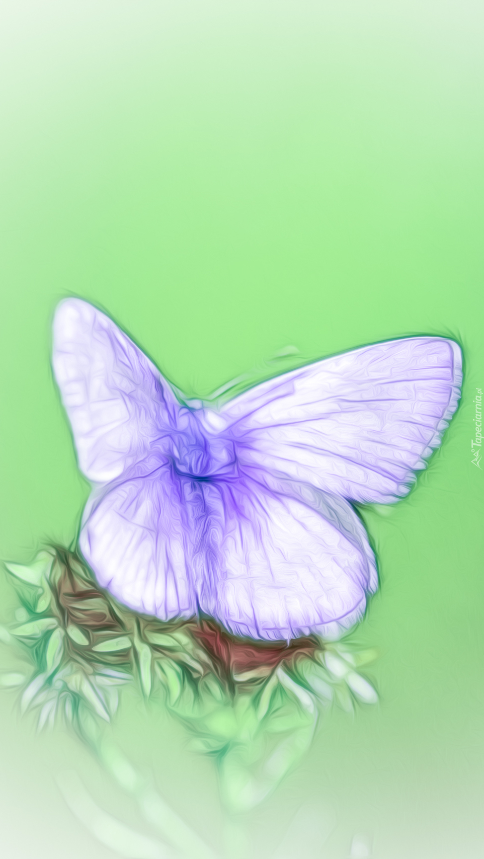 Motyl na kwiatku w grafice fractalius