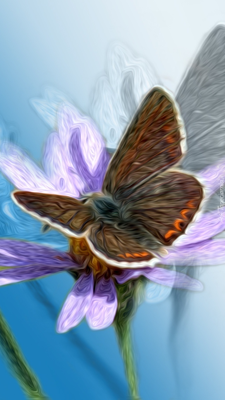 Motyl na kwiatku w grafice