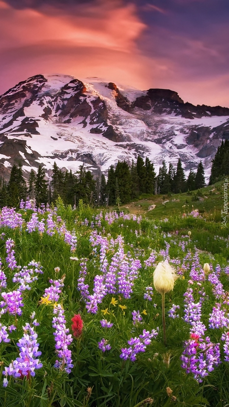 Mount Rainier