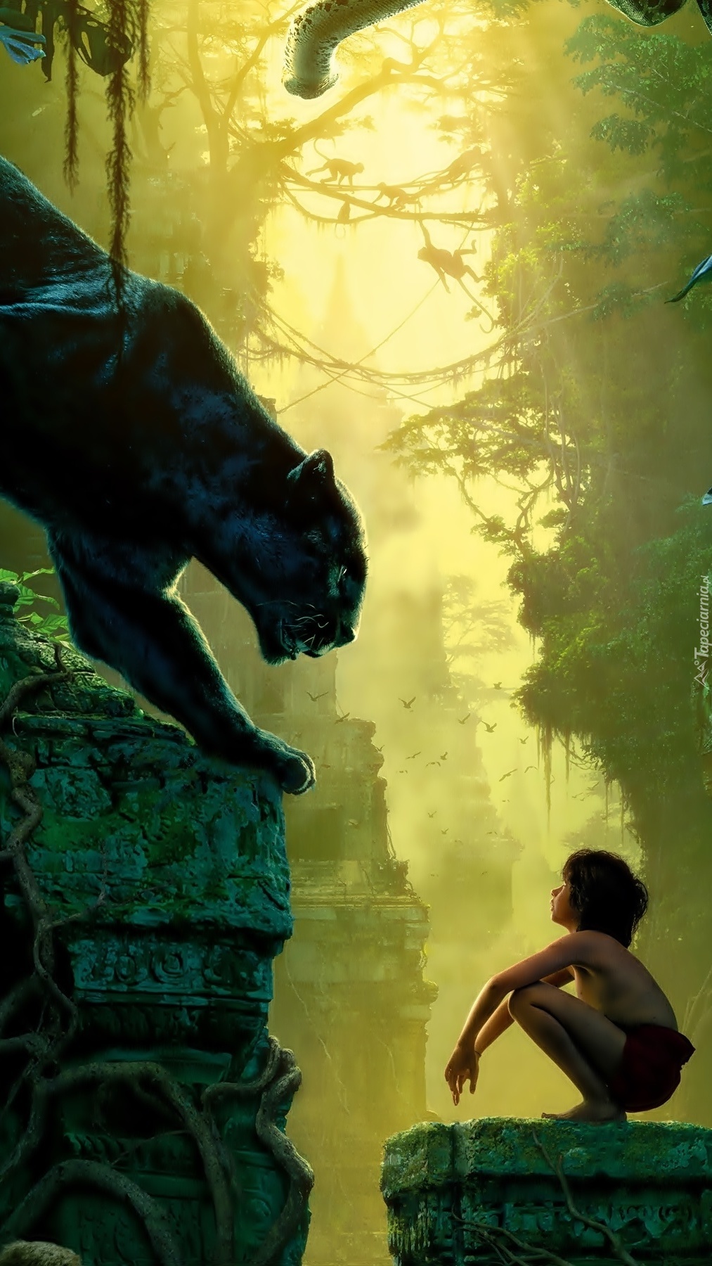 Mowgli i puma
