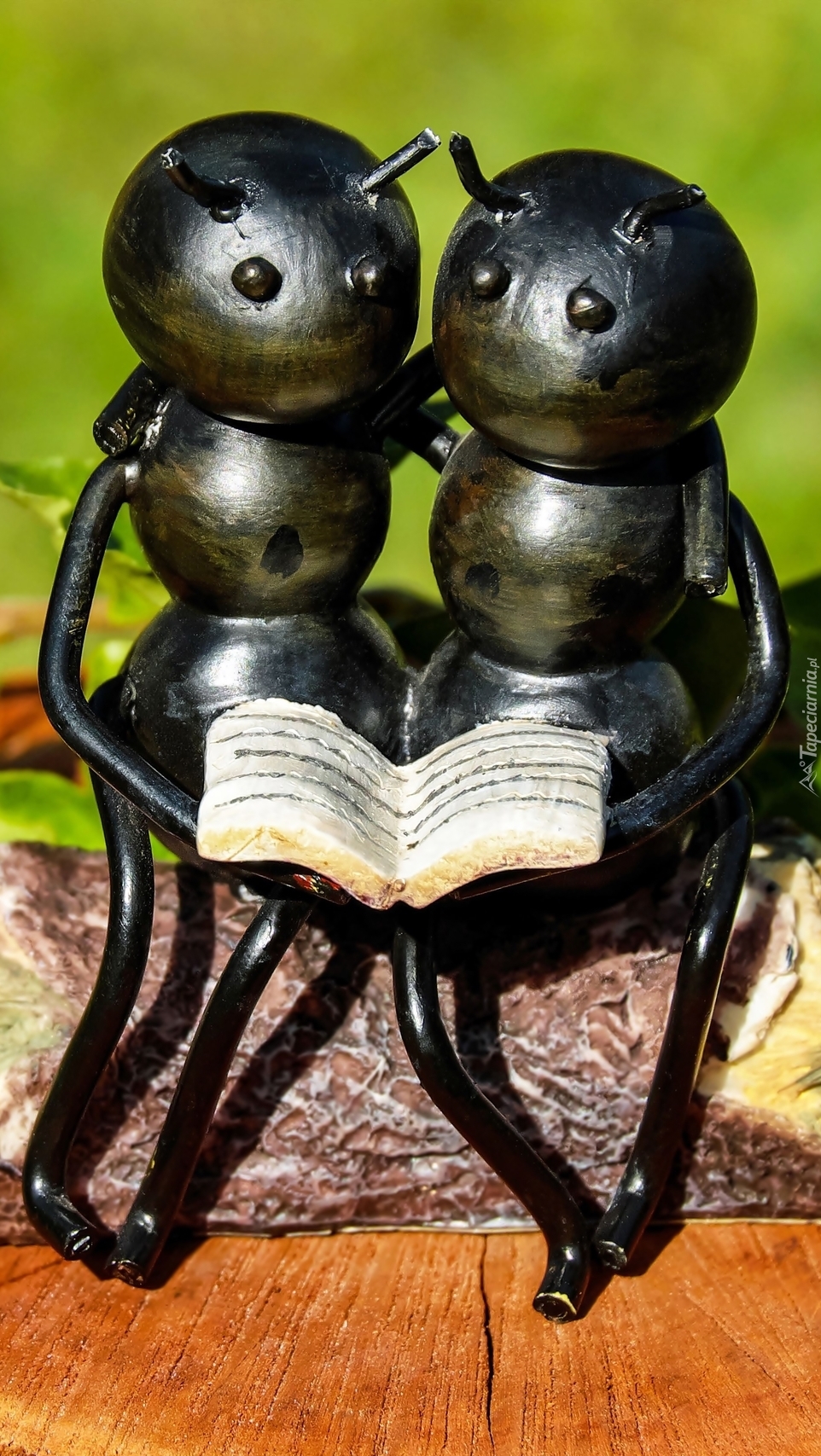 Mrówki z książką na pniu