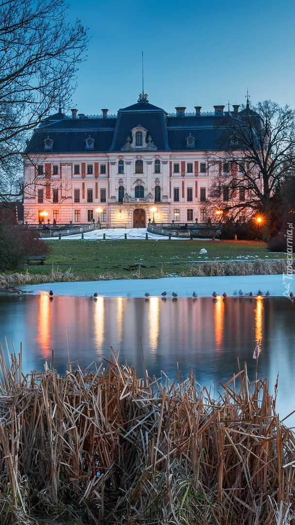 Muzeum Zamkowe w Pszczynie