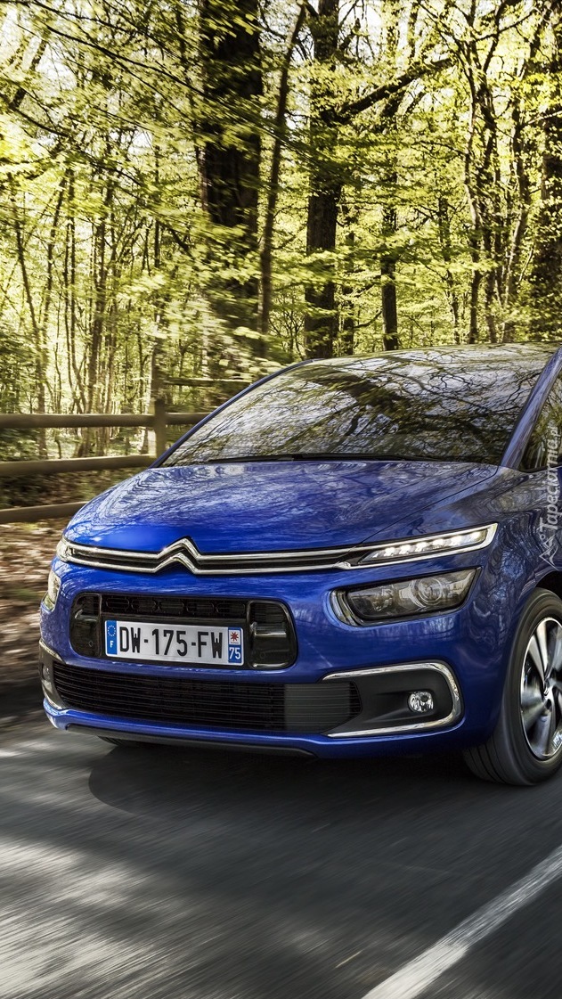 Niebieski Citroen C4 Picasso na leśnej drodze