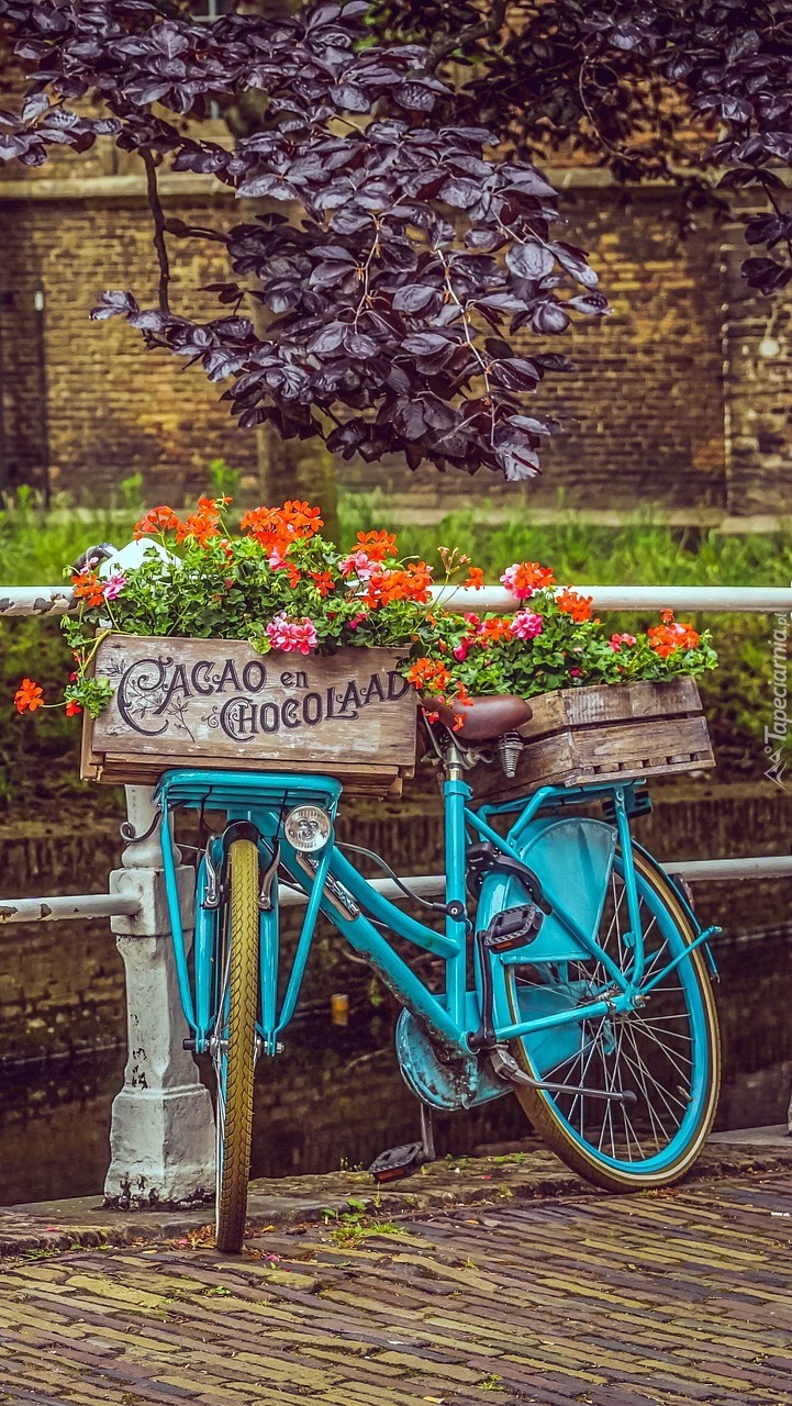 Niebieski rower ze skrzynkami kwiatów