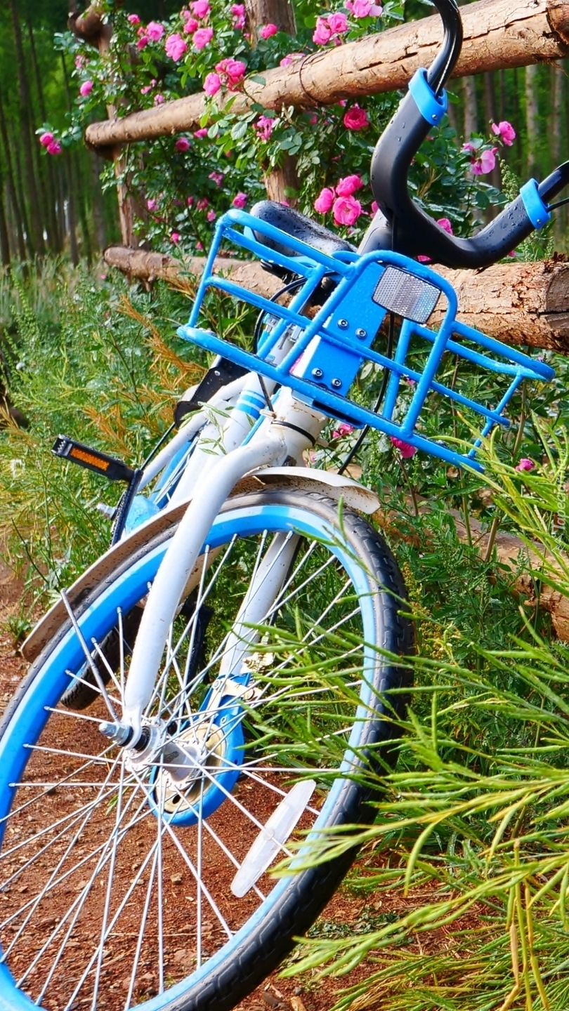 Niebieski rower