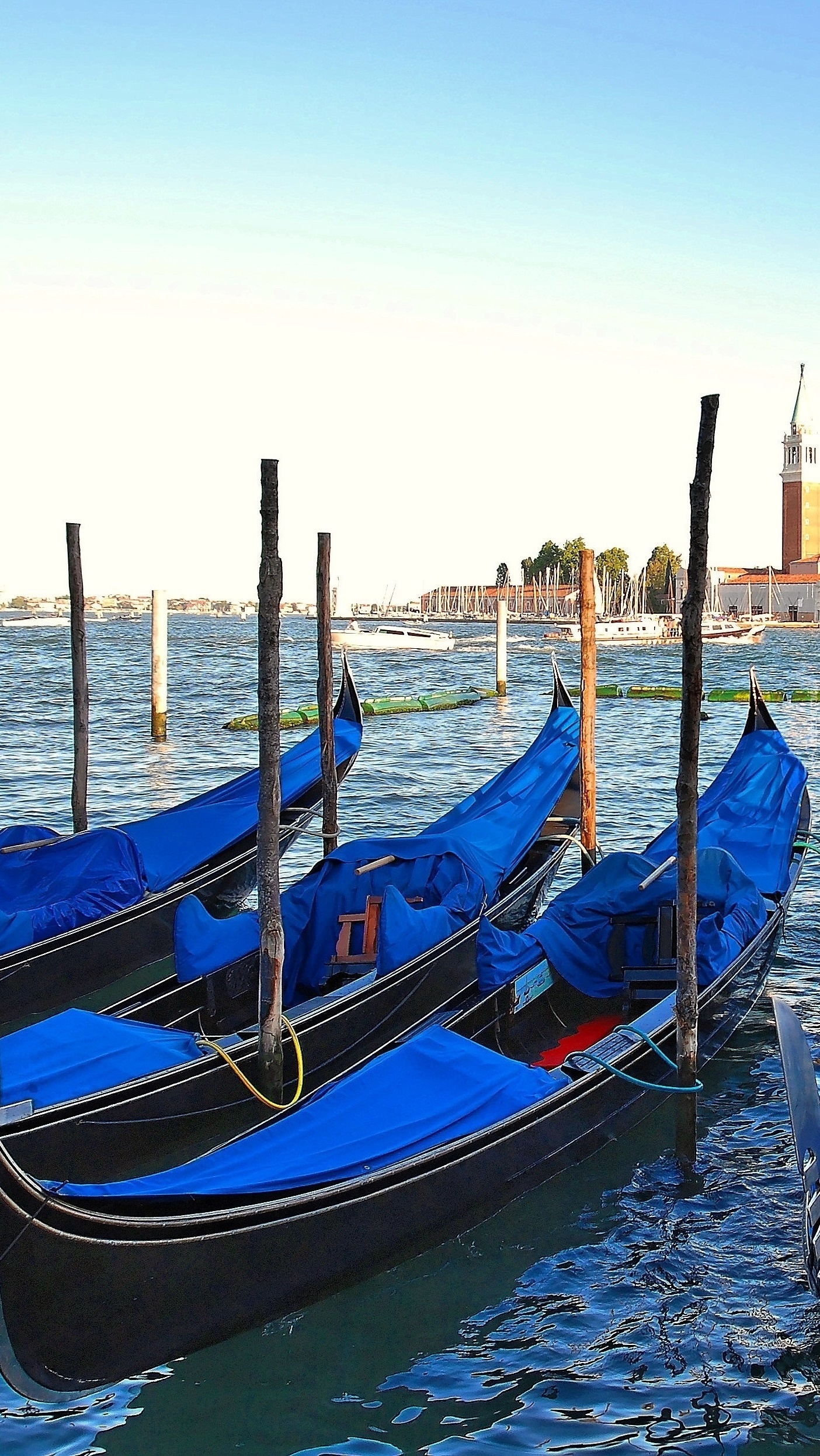 Niebieskie gondole w Wenecji