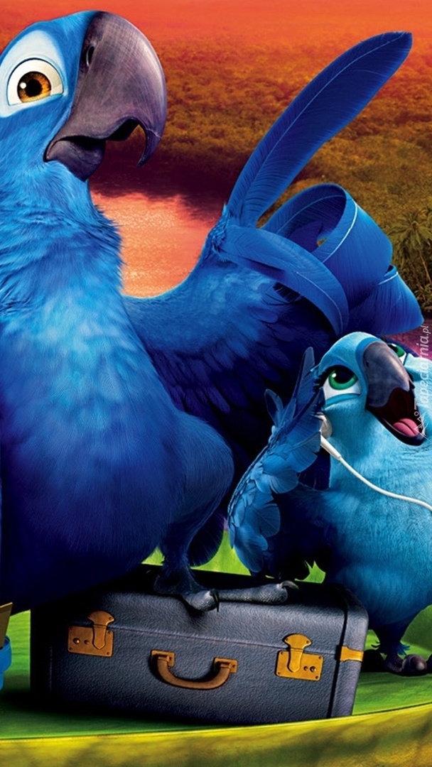 Niebieskie ptaki z Rio 2