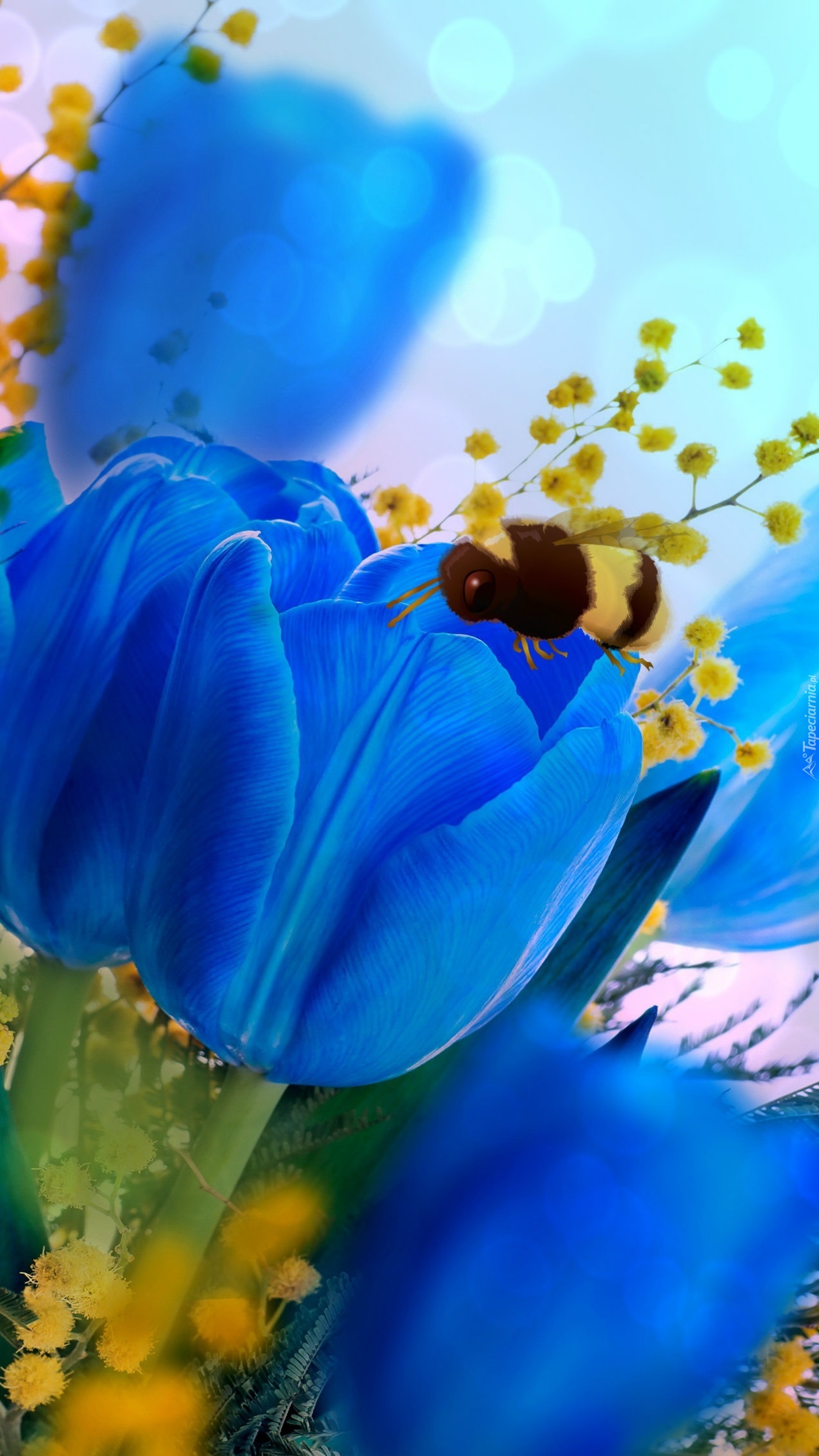 Niebieskie tulipany i pszczoła