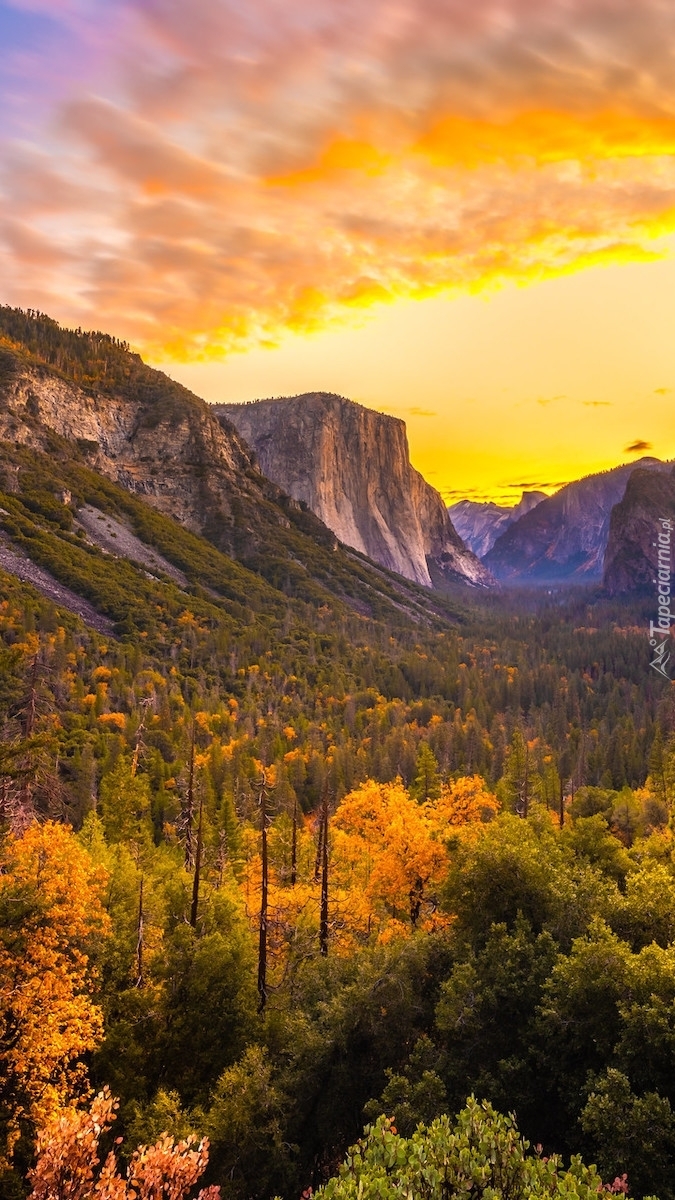 Niebo wschodzącego słońca nad dolina Yosemite Valley