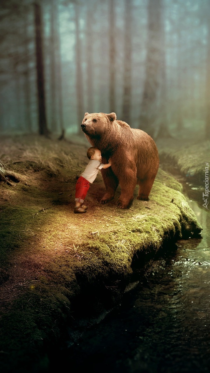 Niedźwiedź i dziecko w lesie
