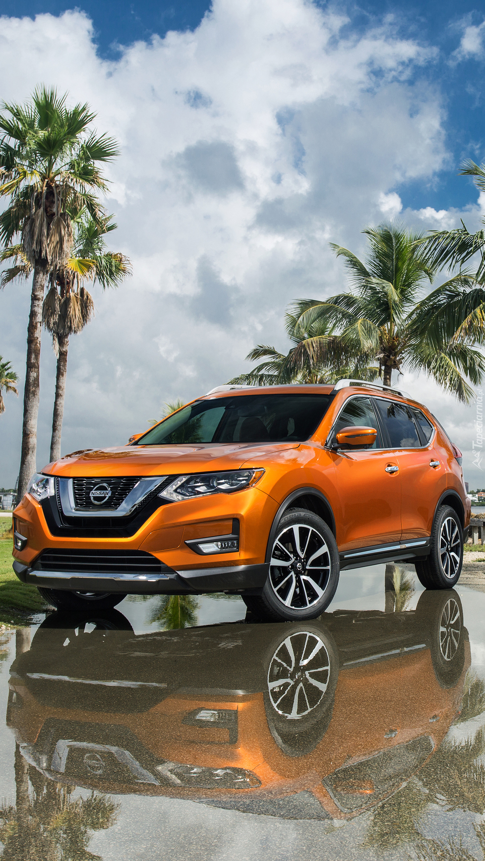 Nissan Rogue obok palm