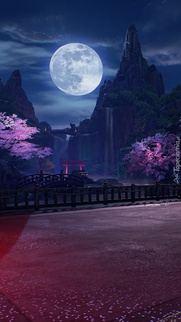 Nocny krajobraz w grze Tekken