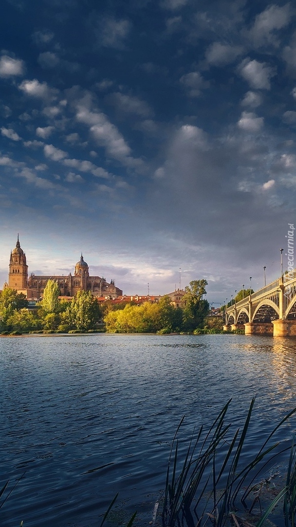 Nowa Katedra nad rzeką Tormes