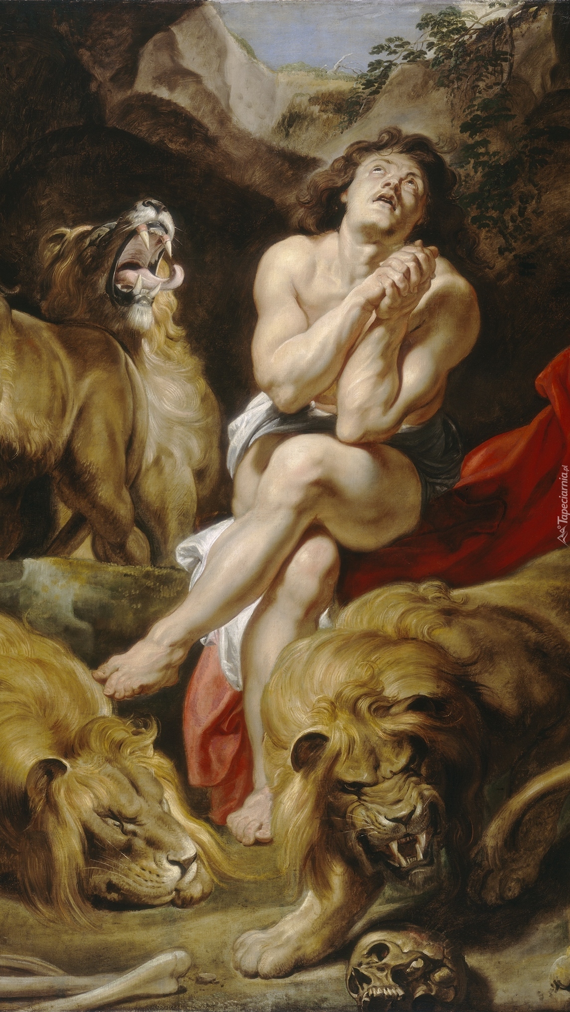Obraz Petera Paula Rubensa