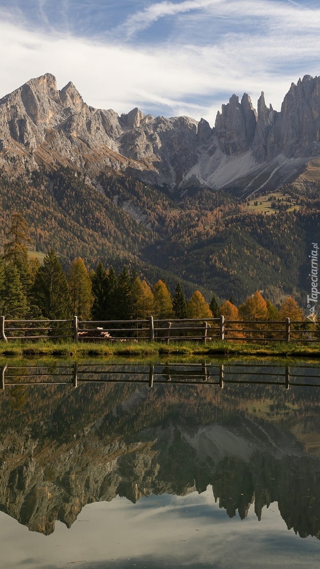 Odbicie Dolomitów i drzew w stawie