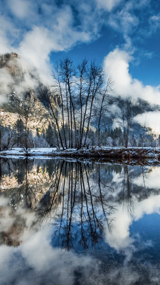 Odbicie drzew i ośnieżonych gór w rzece Merced River