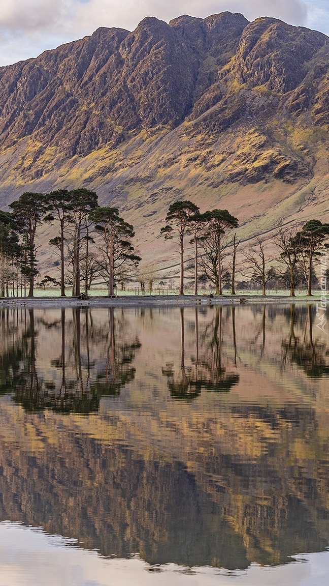 Odbicie gór i drzew w jeziorze Buttermere Lake