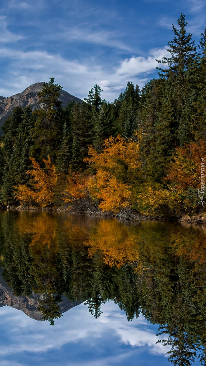 Odbicie gór i lasów w jeziorze Maligne Lake