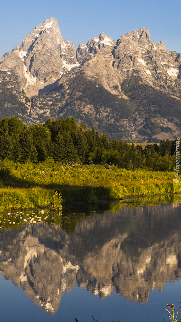 Odbicie gór Teton Range w rzece