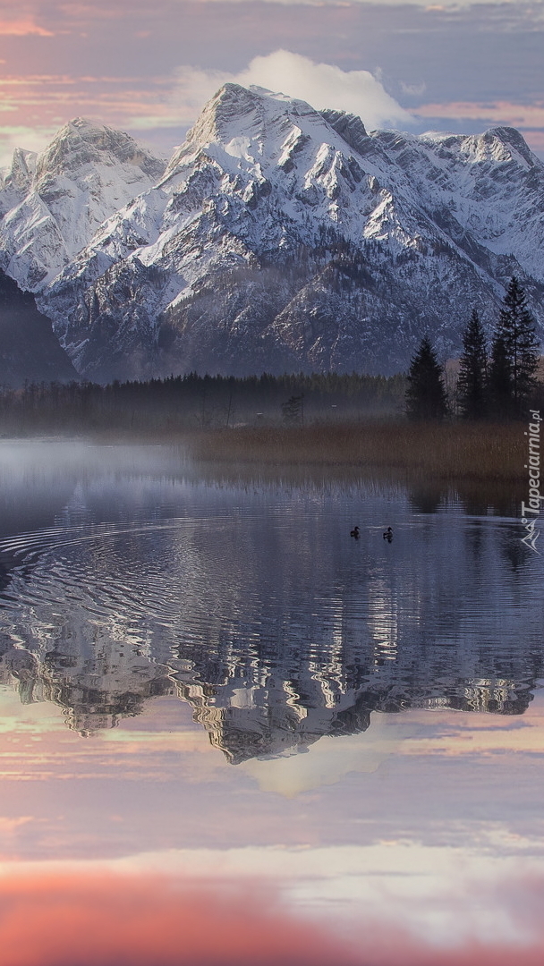 Odbicie gór Totes Gebirge w jeziorze Almsee