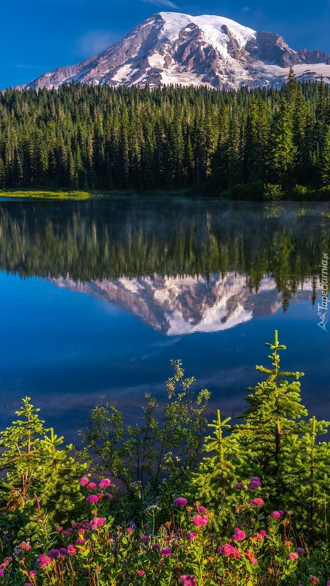 Odbicie góry w jeziorze Reflection Lake