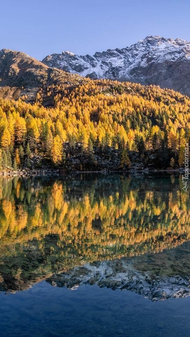 Odbicie jesiennych drzew i gór w jeziorze