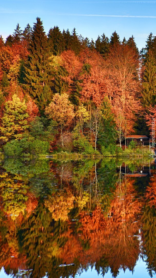 Odbicie jesiennych drzew w jeziorze