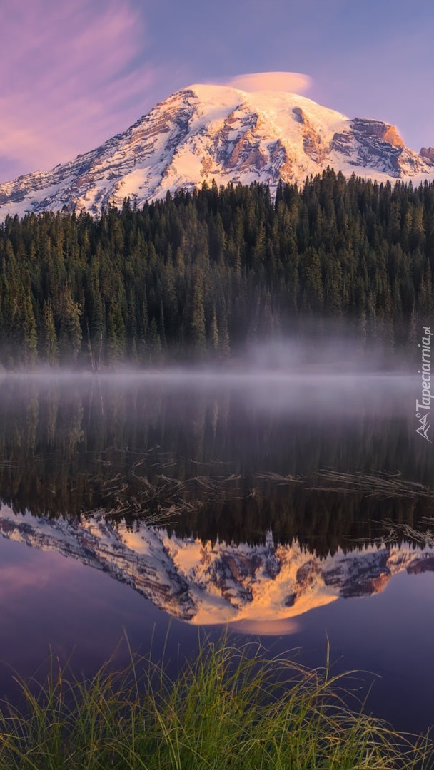 Odbicie stratowulkanu Mount Rainier w jeziorze