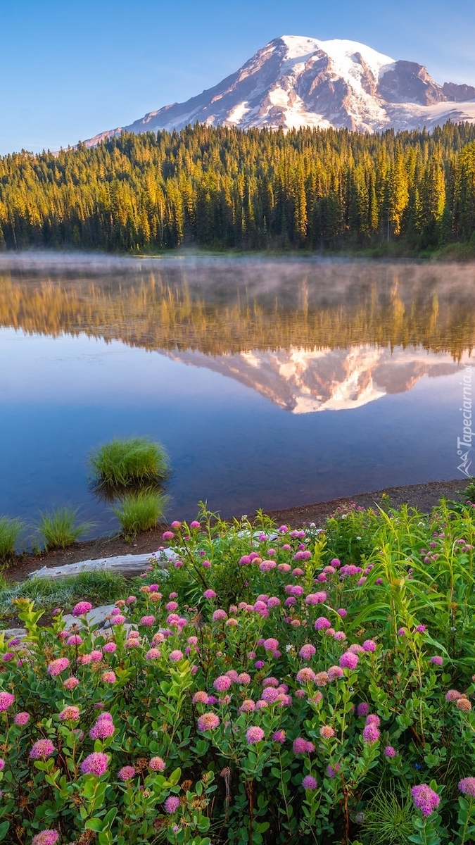 Odbicie stratowulkanu Mount Rainier w jeziorze