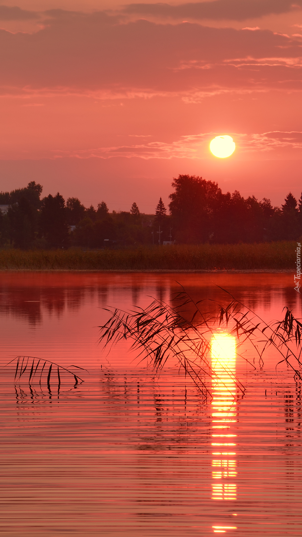 Odbicie zachodzącego słońca w jeziorze