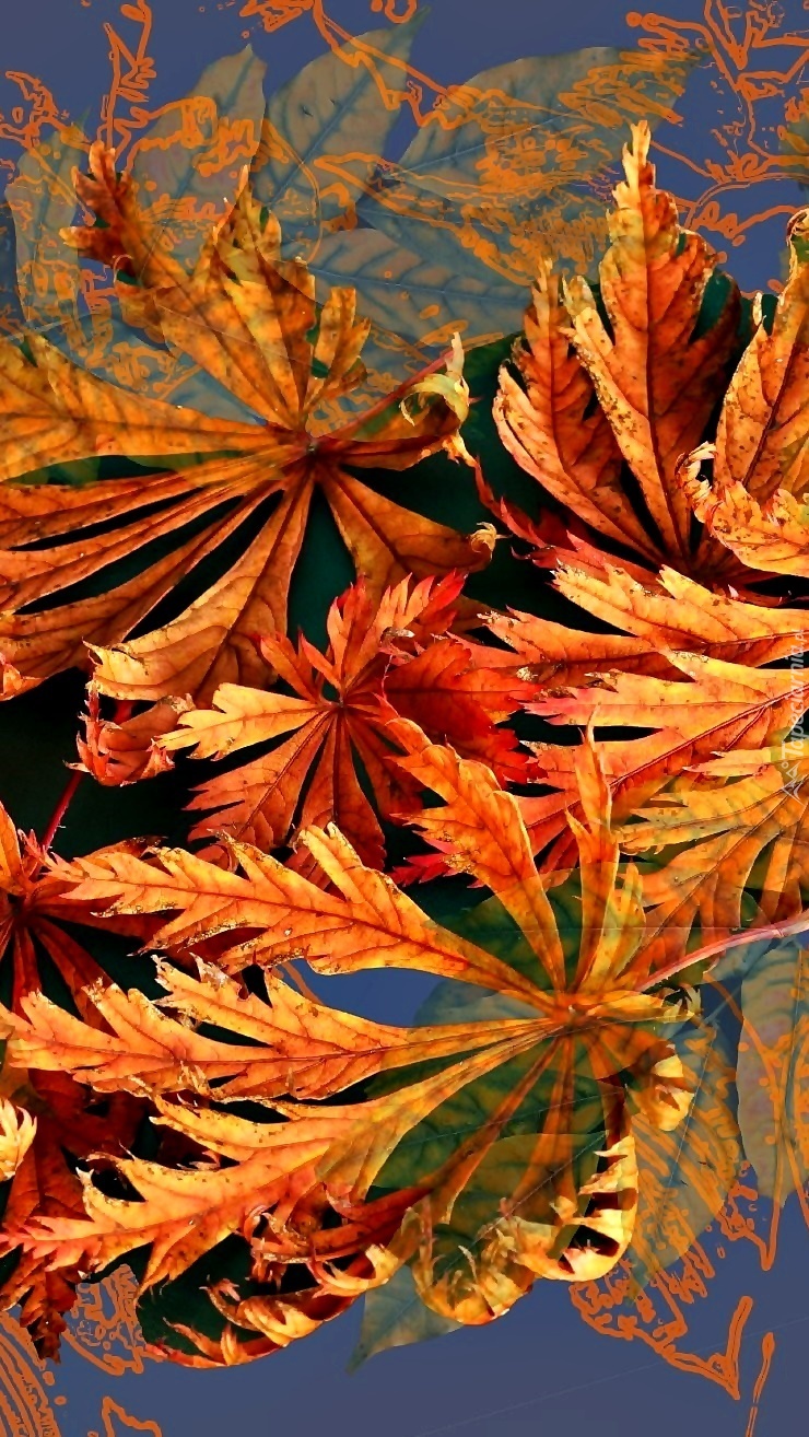 Ogniste kolory jesieni