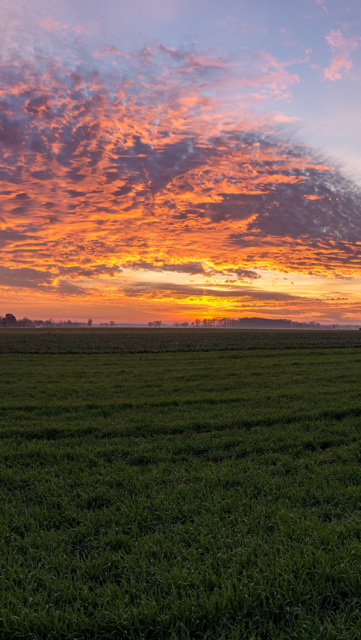 Ogniste niebo nad polem