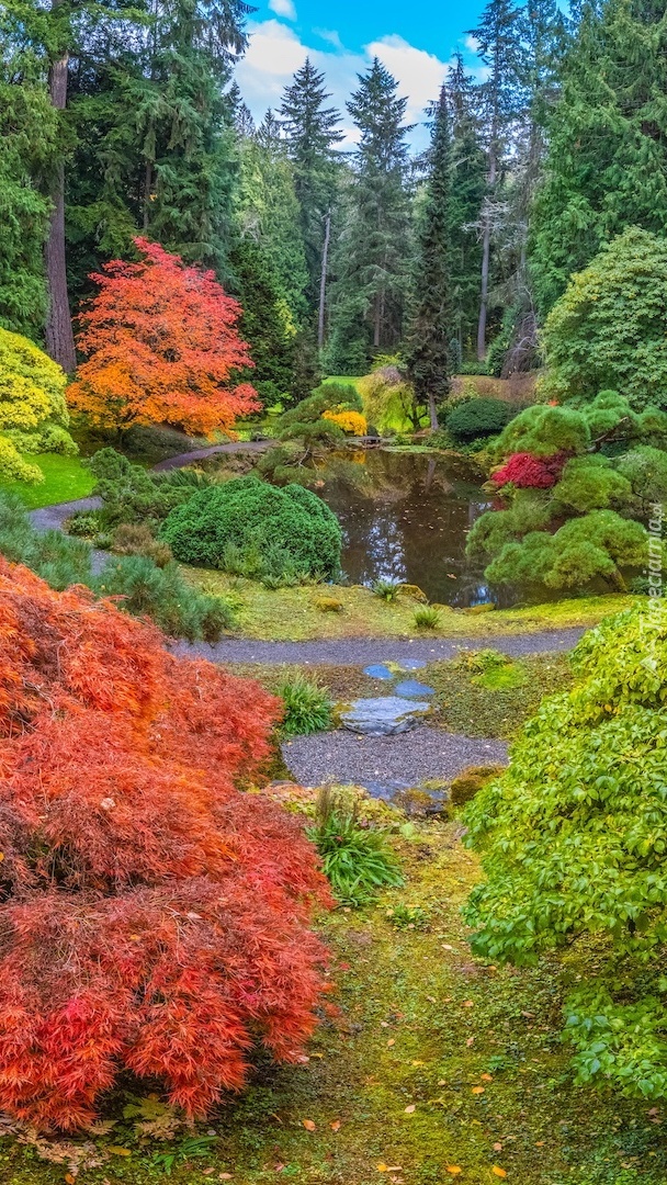 Ogród botaniczny jesienią