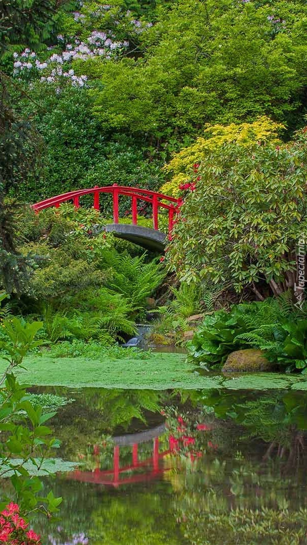 Ogród Kubota Garden w Seattle