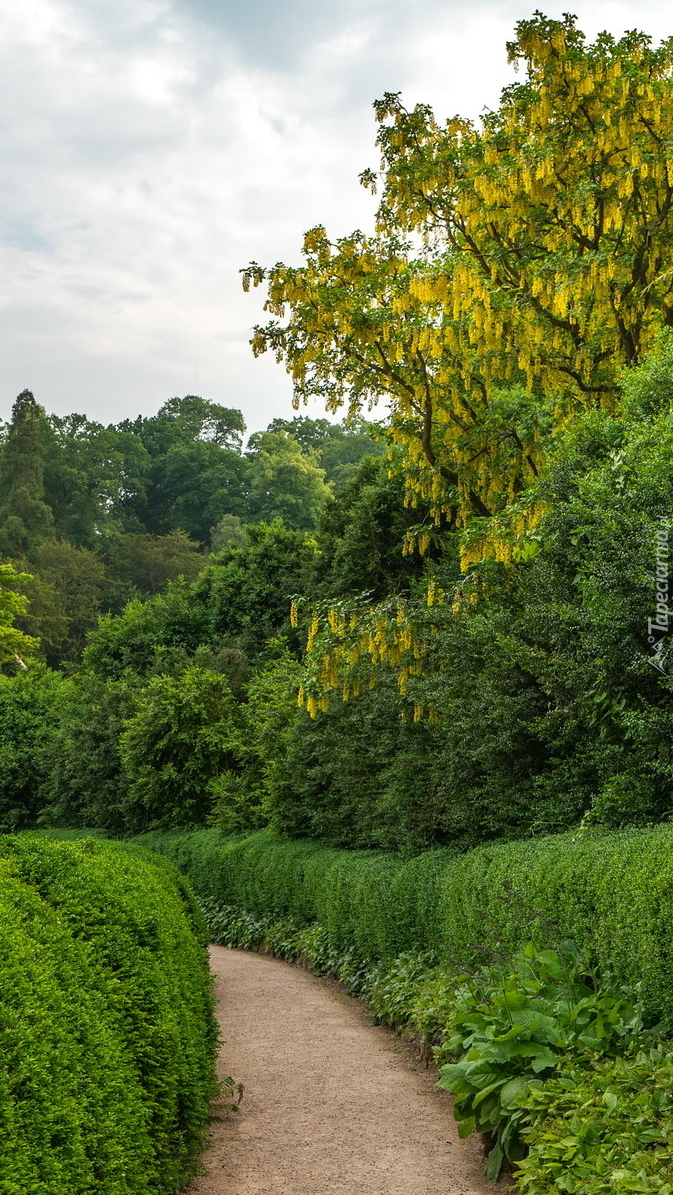 Ogród Powis Garden w Walii