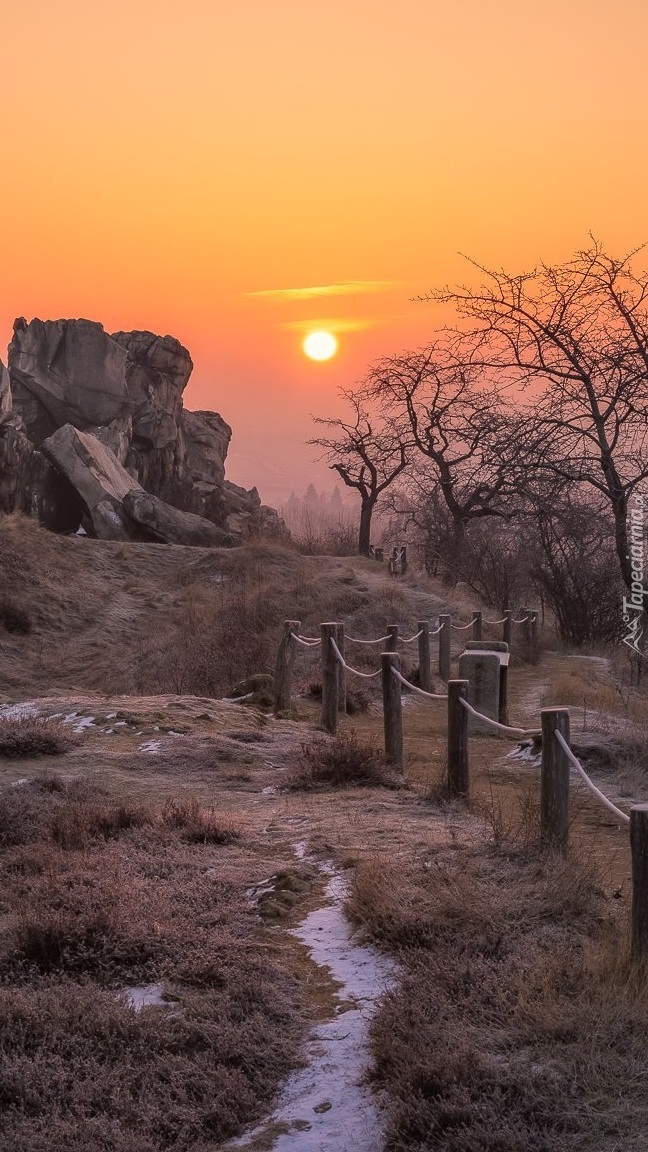 Ogrodzenie i drzewa obok skał